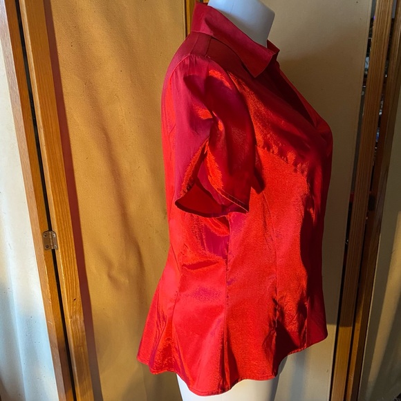 EUC 🌟🔥✨Cato Woman shiny festive blouse, 14/16W - Picture 4 of 12